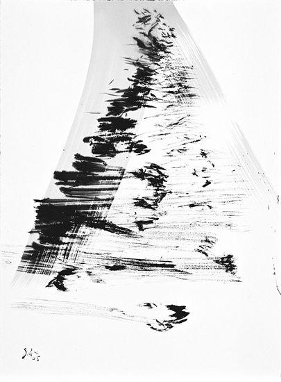 4-2005 affluente 76x57 chf 2400.jpg